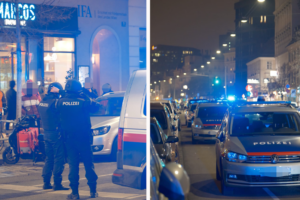 WEGA-Einsatz: Oružana pljačka zlatare u Beču