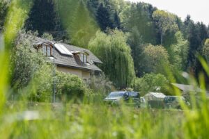 Ubistvo iz strasti u St. Peteru: Mesarski šegrt u pritvoru