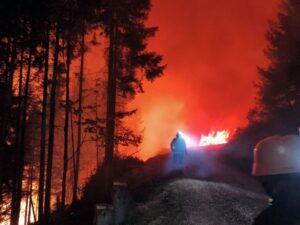 Lesachtal: Šumski požar pod kontrolom